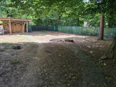 3 ZKB Wohnung, Erdgeschoß mit Loggia und 560 qm Gartengrundstück