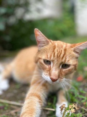 +NEUWERTIGES EINFAMILIENHAUS MIT VIELEN EXTRAS in Marwitz+