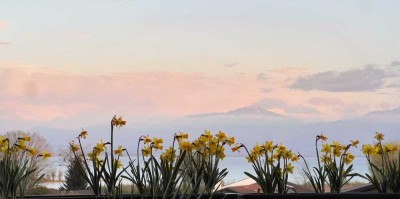Exklusive Dachterrassenwohnung am Chiemsee mit traumhaftem Blick auf See und Alpen