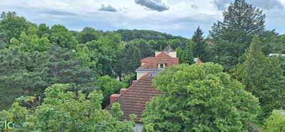 Tolle 4 Zimmer Dachterrassenwohnung im Althietzinger Cottage