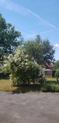 Ansprechende 2-Zimmer-Wohnung in Radebeul