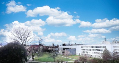 Wunderschöne 2-Zi Wohnung mit Balkon - Parkblick