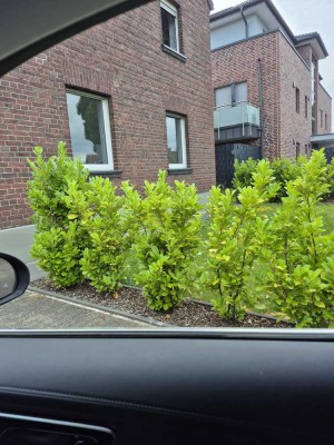 Modernisierte Erdgeschosswohnung in zentraler Lage mit großem Innenhof