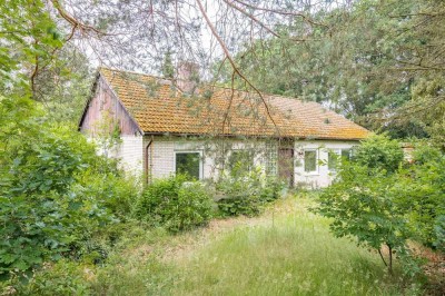 Bungalow auf großem Grundstück in Winsen OT