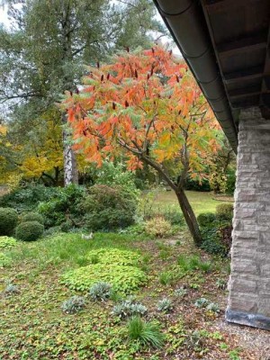 Atriumhaus in Bestlage Aachen Laurensberg