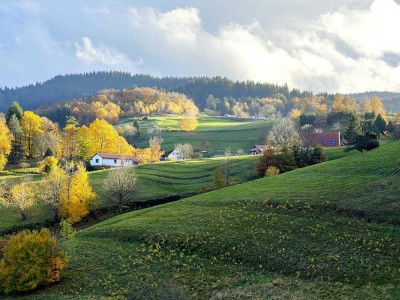 Großzügiges Zwei-/Dreifamilienhaus mit großer Doppelgarage in äußerst bevorzugter Panoramawohn