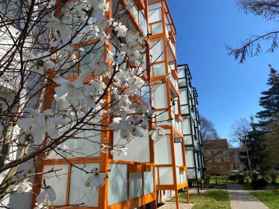 Erdgeschosswohnung in beliebter Wohnlage