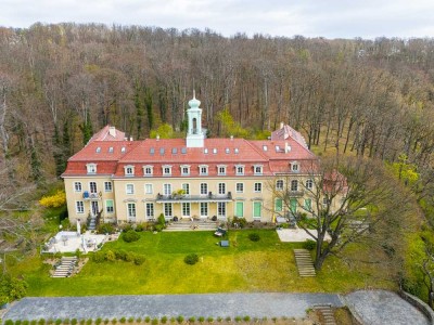 +Herrschaftlich Wohnen im Schloß Wachwitz - helle exklusive 3-Zimmer-Wohnung mit Balkon & Terrasse+