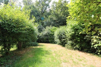 Natur pur: Charmantes Reihenhaus direkt am Waldrand von Amorbach