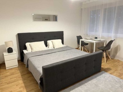 Furnished 1,5 room apartment with a balcony