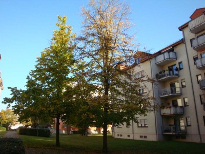 Kleine, hübsche Wohnung mit EBK, Pkw-Stellplatz und Fahrstuhl