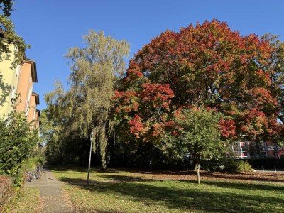 Toll geschnittene, ruhige, helle und grüne Wohnung nahe dem Stadtpark