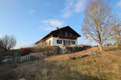 Schönes Einfamilienhaus mit altem Sacherl (Denkmalschutz) in schöner Alleinlage - 661