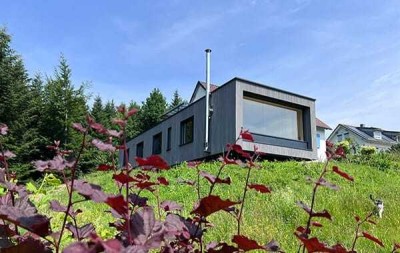 Ein Traum - Ruhe pur - Blick in die Berge
Neuwertige 3-Zimmer-Wohnung in der Sonnenstadt Lindenberg
