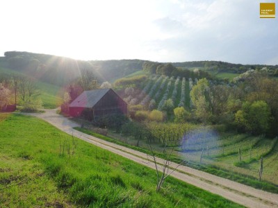 MAXIMUM an Natur*Ruhe*Bauqualität*Lage