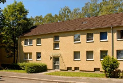 Wohnen im grünen Hochlarmark! Wohnung ab zwei Personen mit Wohnberechtigungsschein!