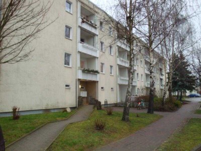 Neuwertige 3- Raumwohnung in Velgast ab 11/2025 frei!