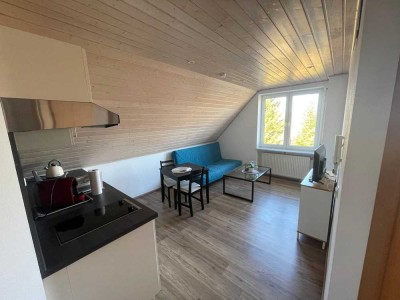 Exklusive, sanierte 2-Zimmer-Wohnung in 88499 Altheim