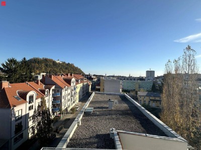 Garconniere mit Süd-Terrasse und neuer Küche