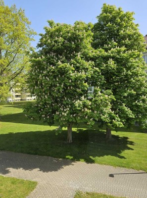 Renovierte 3-Zimmer-Wohnung mit Balkon in Hemmingen