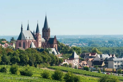 Vermietete 3 Zimmer Eigentumswohnung mit Balkon für Selbstnutzer oder Kapitalanleger in Oppenheim