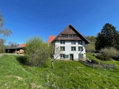 Sofort einziehen - Schwarzwaldhaus mit zwei Wohnungen, auf 3000m² + Bachzugang + Bauplatz !