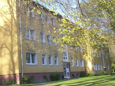 Sofort beziehbar - 3-Zi.-Wohnung (ID11036)