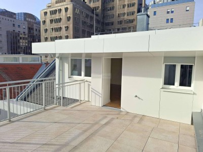 3-Zimmer-Dachterrassenwohnung nähe Urania und Donaukanal