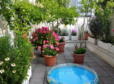 3-Zi-Wohnung mit großer z.T. überdachter Terrasse in TOP-Lage von Düsseldorf