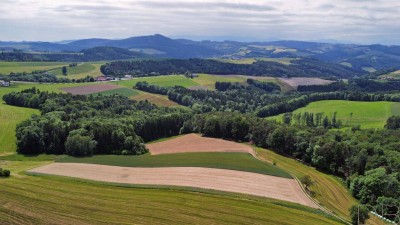 Ruhe, Platz und Entfaltungsmöglichkeiten gesucht??