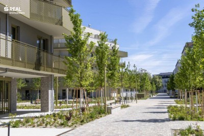 Hirschfeld - Ihr neues Zuhause im Grünen - anfragen, besichtigen, einziehen - 41 bis 96 m²