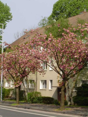 Schöne 3 Zimmer-Wohnung mit Balkon in Mülheim Speldorf / Saarn