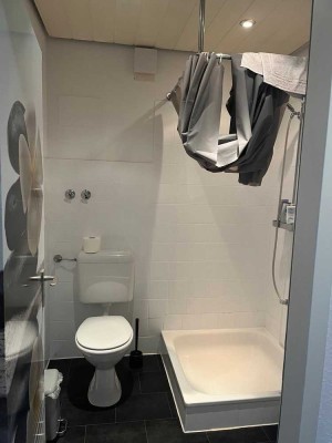 Stilvolle möblierte 1-Zimmer-DG-Wohnung in Münster (Kreuzviertel)