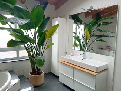 Schorndorf: Schöne Penthouse-Wohnung zu vermieten