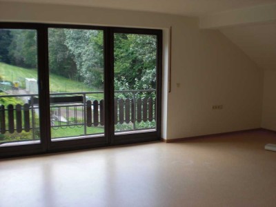 Charmantes 1-Zimmer-Appartement mit zwei Terrassen und Blick ins Grüne in Erbach