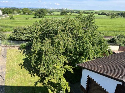 Geräumiges Mehrfamilienhaus mit traumhaftem Ausblick  in Bockenheim an der Weinstraße