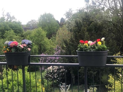 Wohnen mit Gartenblick!