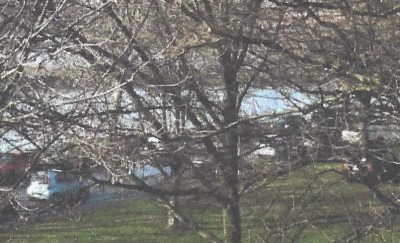 Wohnung mit Rheinblick