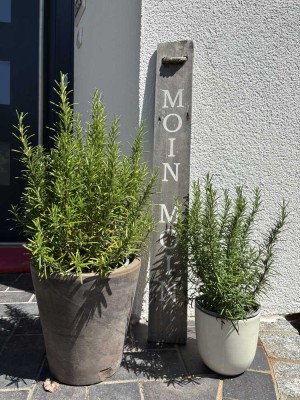 Einziehen und wohlfühlen – bezugsfertiger Bungalow mit sonnigem Garten
