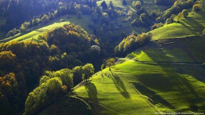 SCHWARZWALD JUWEL!