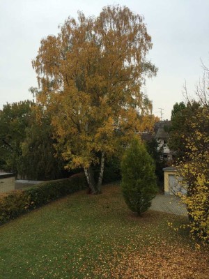 Helle 3 Zi.Wohnung mit Balkon seitlich Biebricher Allee