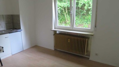 Ruhige 1-Zimmer-Wohnung mit Garten-Sitzecke in  Reichenbach an der Fils