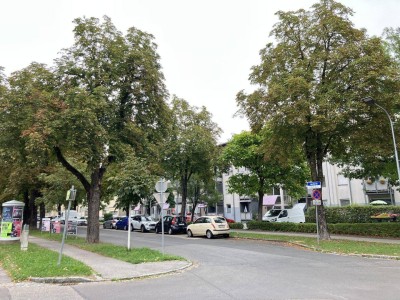 Helle Wohnung Jakob Ghon Allee 25