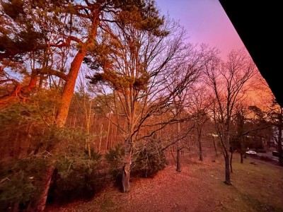 Exklusive 4-Zimmer-Wohnung mit Blick auf den Grunewald