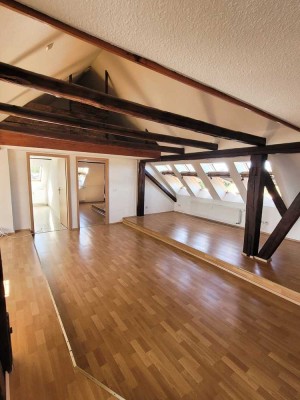 Traumhafte DG Wohnung mit Weitblick