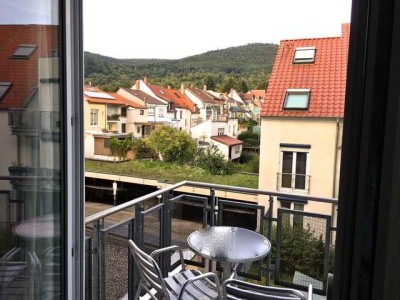 Studenten aufgepasst:  1-Zimmer-Wohnung in zentraler aber ruhiger Lage in Heidelberg Handschuhsheim