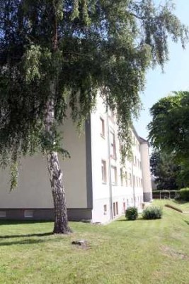 Große 3-Raum-Wohnung mit grünem Innenhof