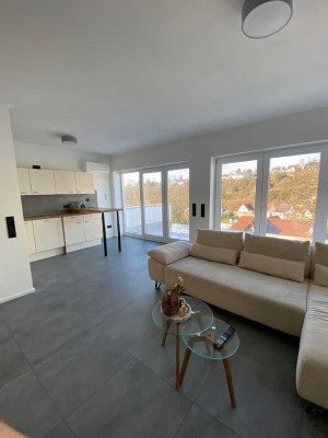 Freundliche, neuwertige 2-Zimmer-Wohnung mit luxuriöser Innenausstattung in Kaiserslautern