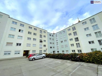 Renovieren statt resignieren! 3-Zimmer I Neubau I 3. Liftstock I ideale Infrastruktur I beste Anbindung!