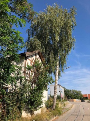 Geräumiges Zimmer in Ergoldsbach mit Gemeinschaftsküche, Bad und Gartenanteil